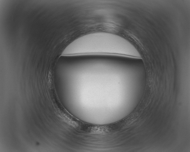 X0000084600077200702231047