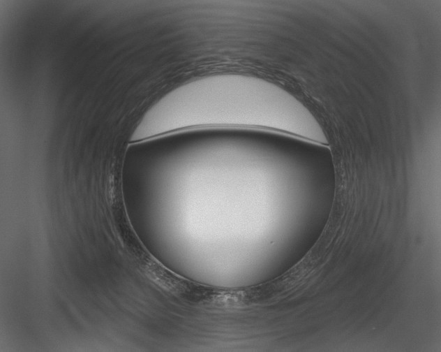 X0000084600080200702231047