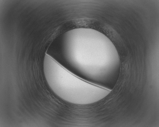 X0000084600081200702231047