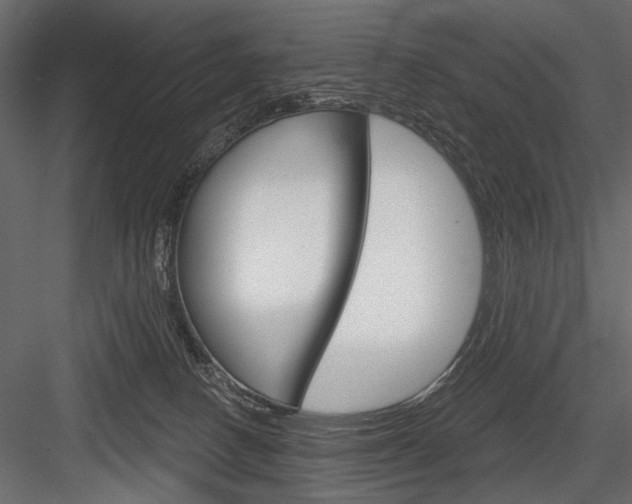 X0000084600082200702231047