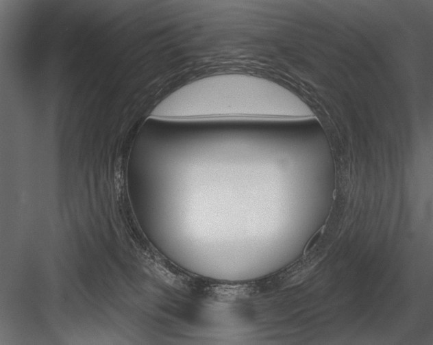X0000084600085200702231047