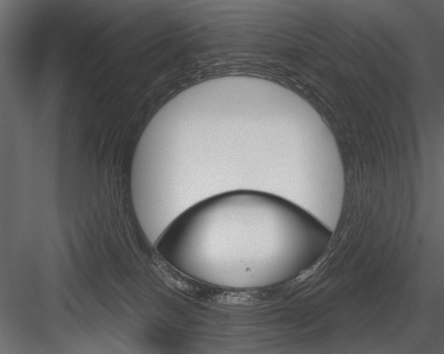 X0000084600086200702231047