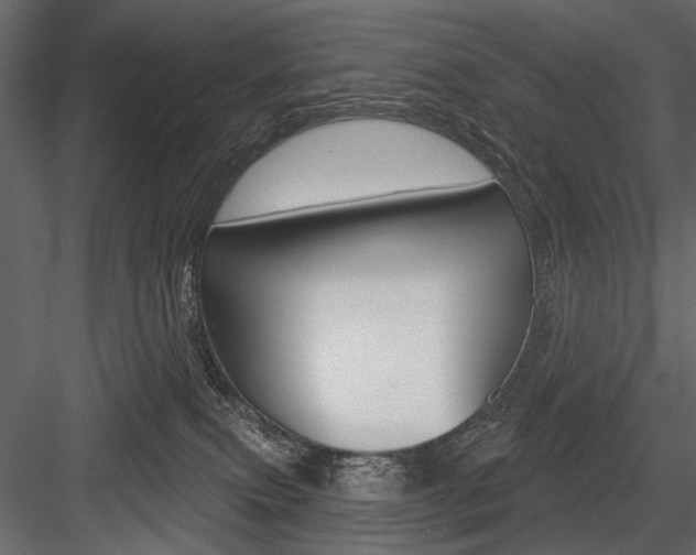 X0000084600087200702231047