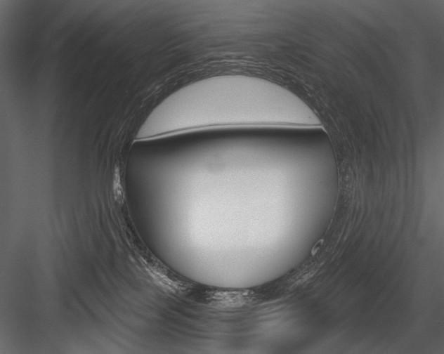 X0000084600089200702231048