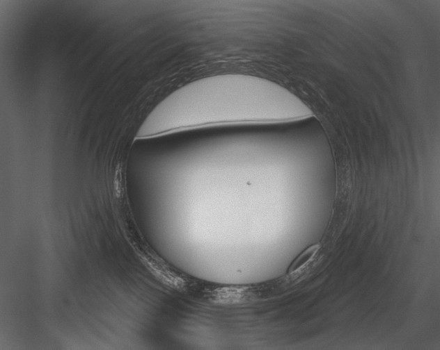 X0000084600090200702231048