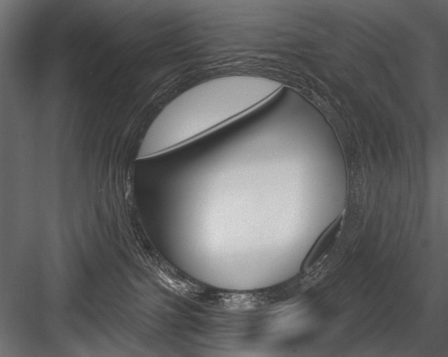 X0000084600091200702231048