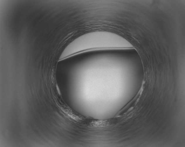 X0000084600092200702231048