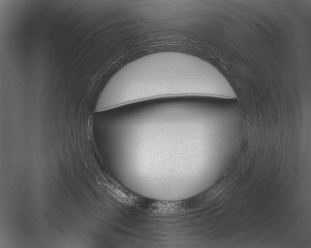 X0000084600093200702231048