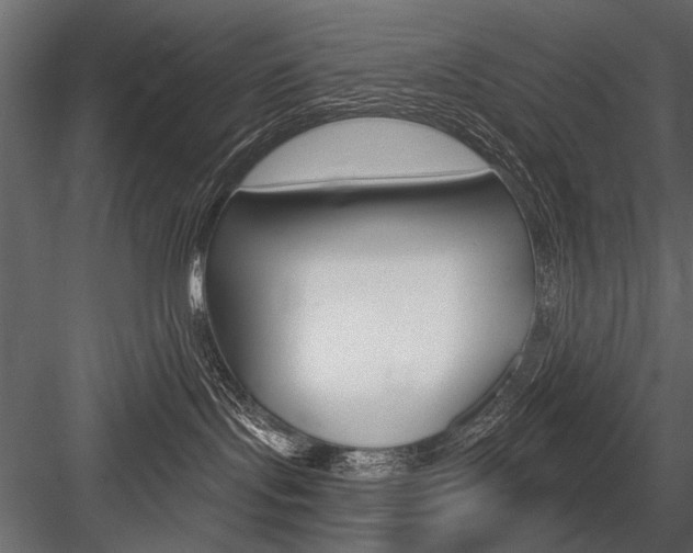 X0000084600095200702231048