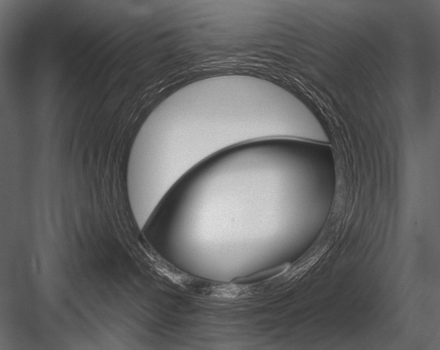 X0000084600096200702231048
