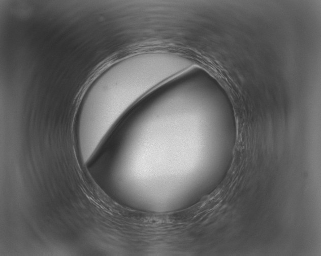 X0000084600099200702231047