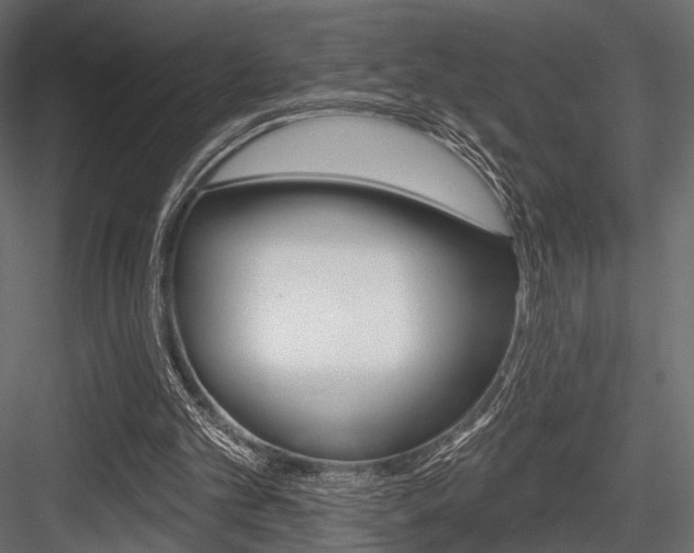 X0000084600101200702231047