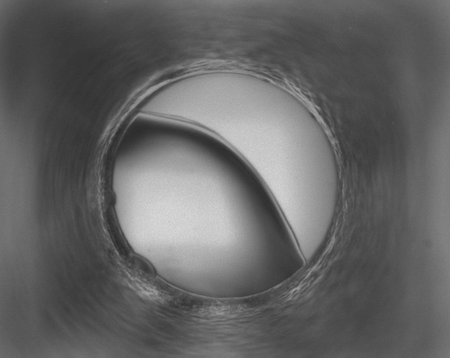 X0000084600103200702231047