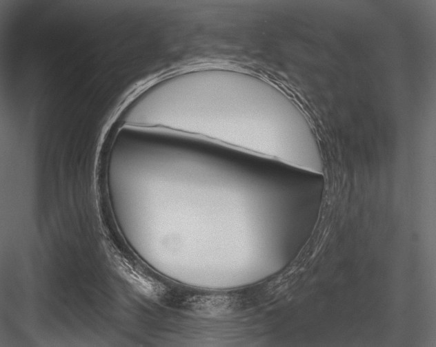 X0000084600104200702231047