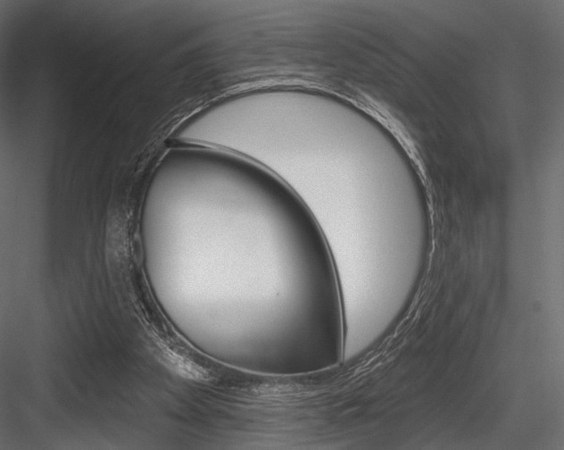 X0000084600105200702231047