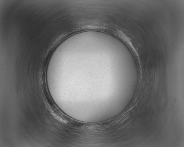 X0000084600106200702231047