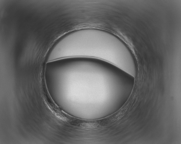 X0000084600107200702231047