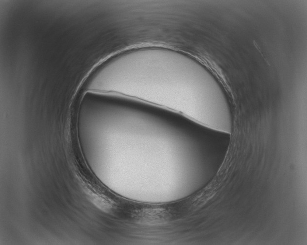 X0000084600108200702231047