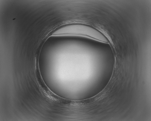 X0000084600109200702231047
