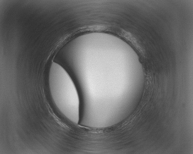 X0000084600110200702231047
