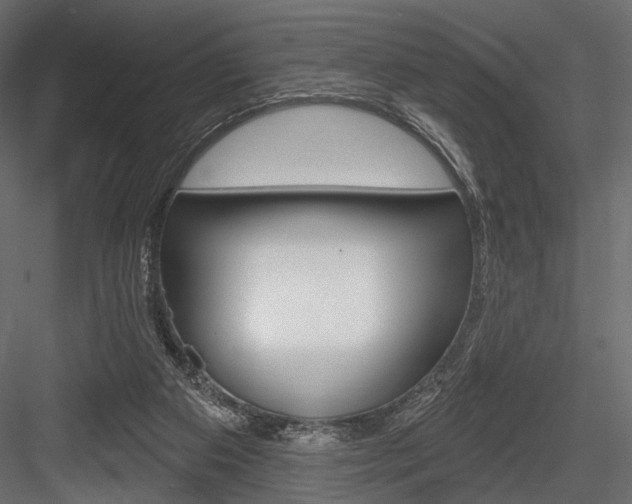 X0000084600113200702231047