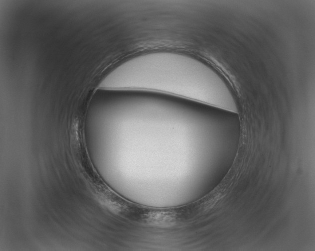 X0000084600117200702231046