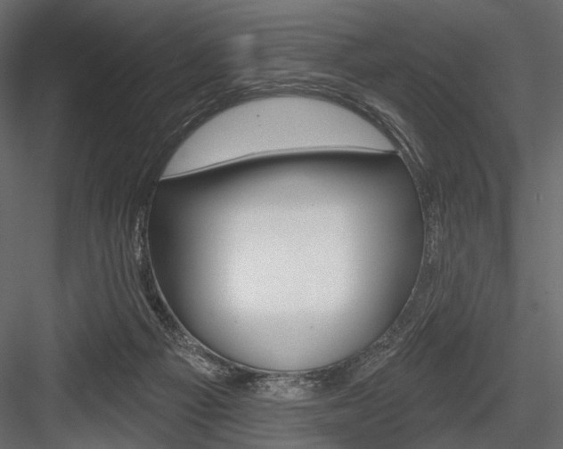 X0000084600121200702231046