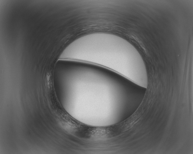 X0000084600123200702231046
