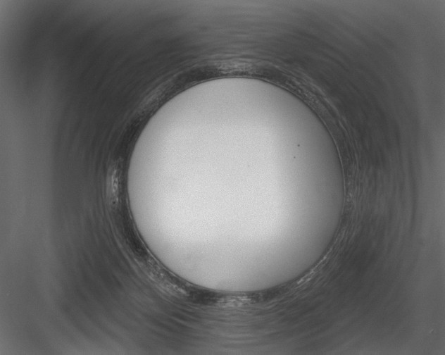 X0000084600124200702231046