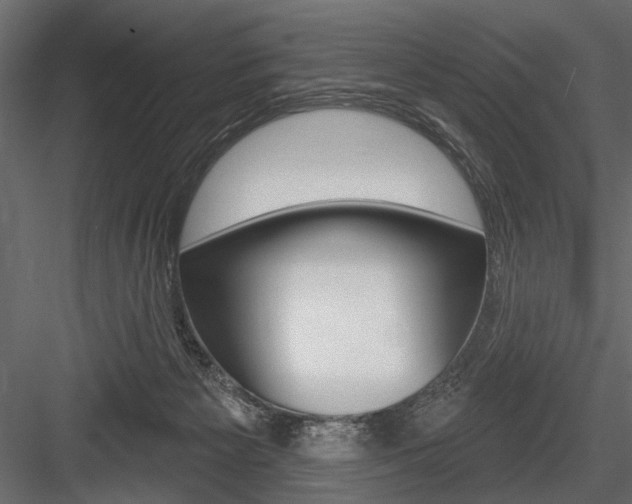 X0000084600125200702231046