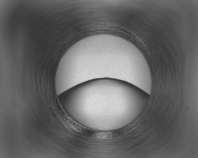 X0000084600126200702231046