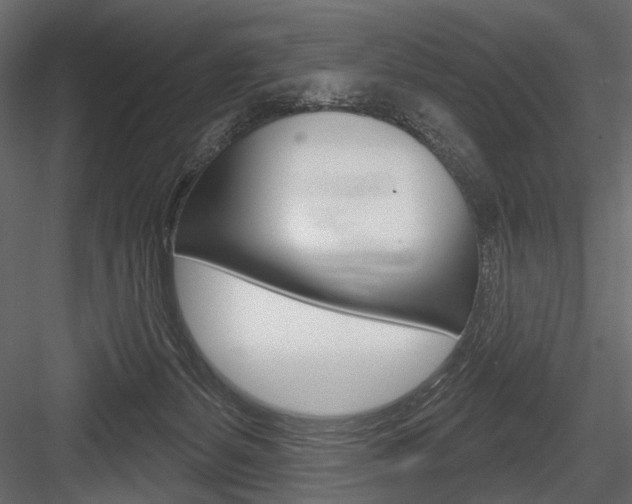 X0000084600127200702231046
