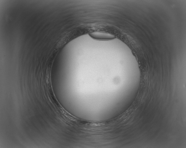 X0000084600129200702231046