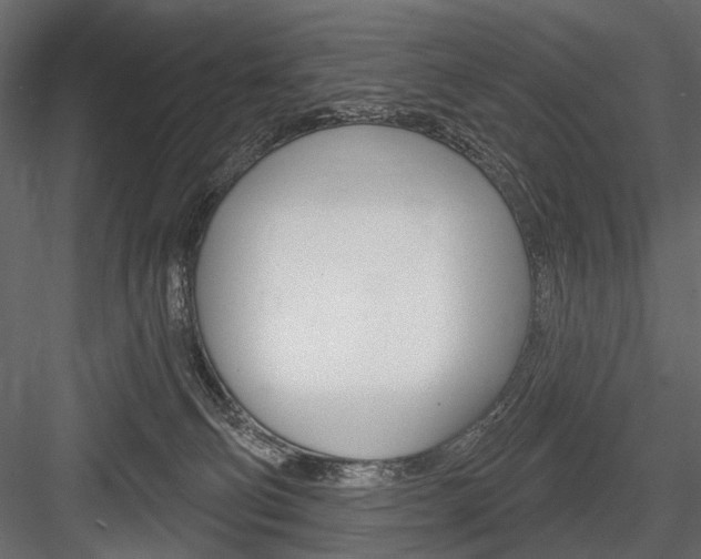 X0000084600130200702231046