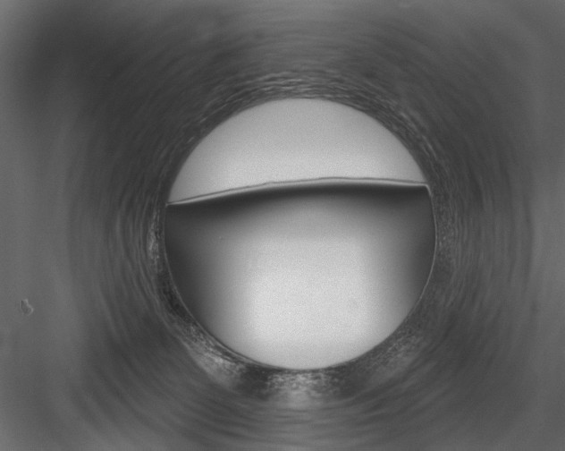 X0000084600131200702231046