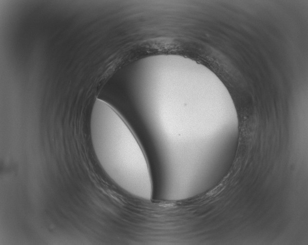 X0000084600132200702231046