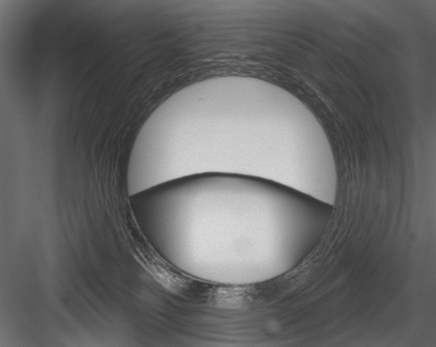 X0000084600134200702231046