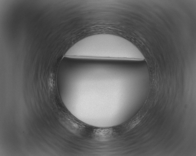 X0000084600135200702231046