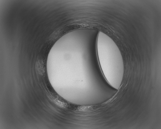X0000084600136200702231046