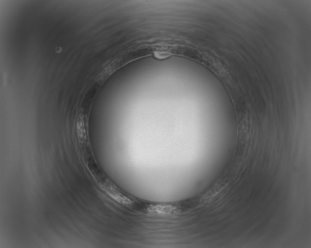 X0000084600137200702231046