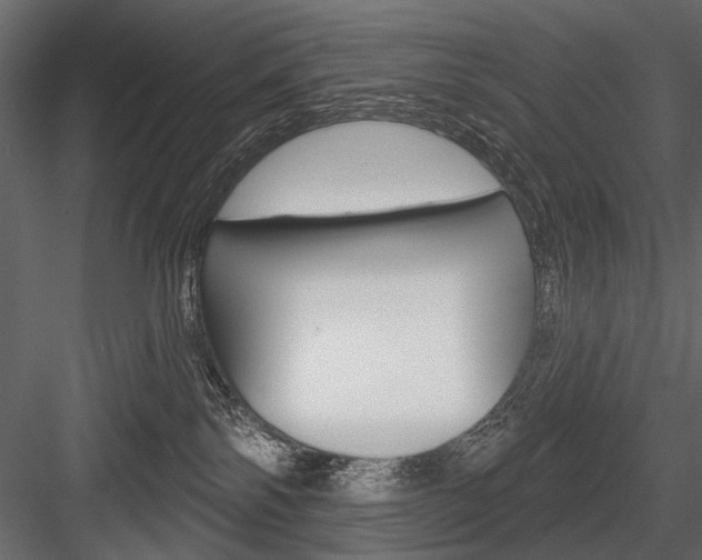 X0000084600138200702231046