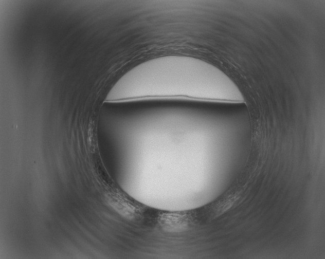 X0000084600139200702231046