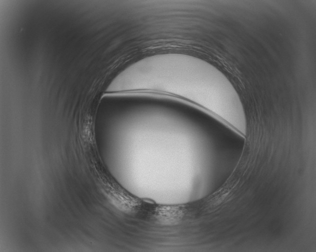X0000084600141200702231046