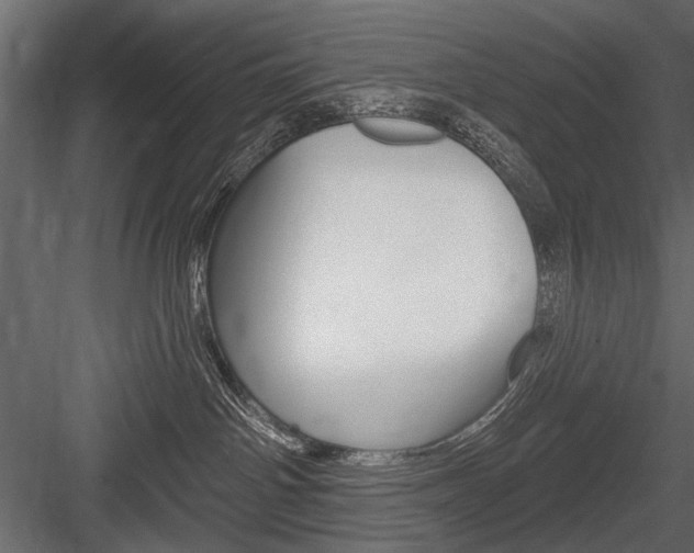 X0000084600142200702231046