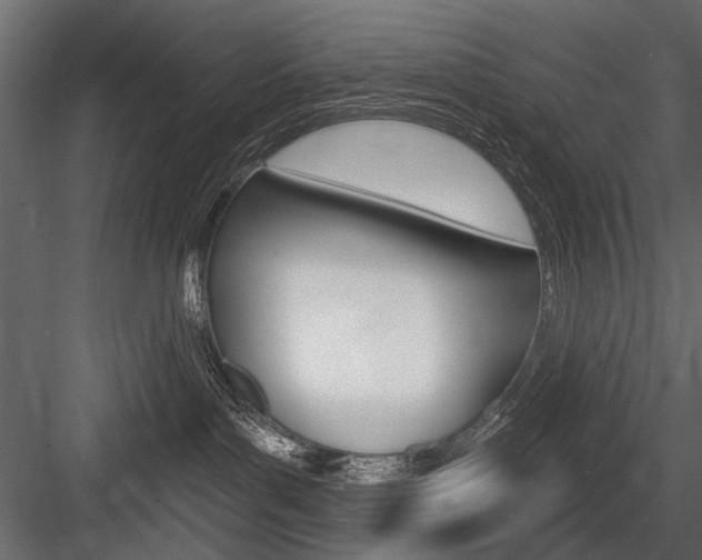 X0000084600143200702231046