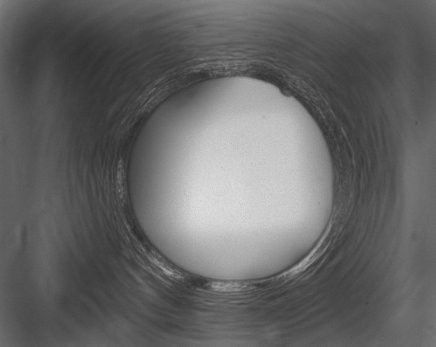 X0000084600144200702231046
