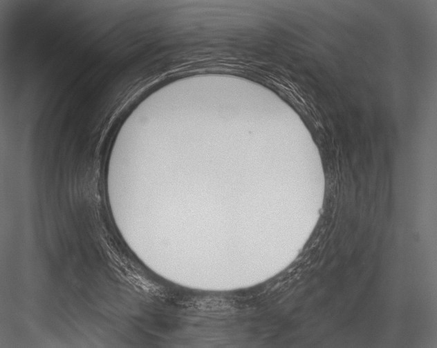 X0000084600146200702231045