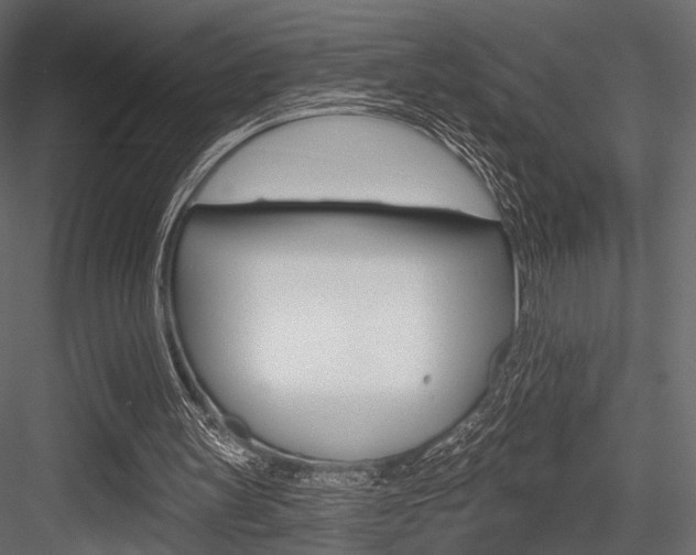 X0000084600147200702231045
