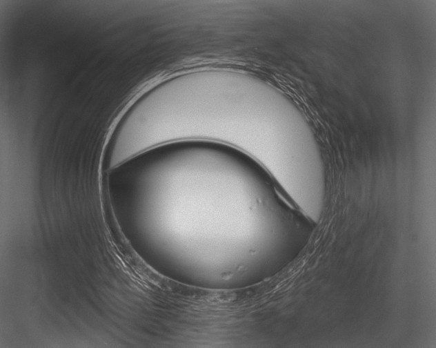 X0000084600148200702231045