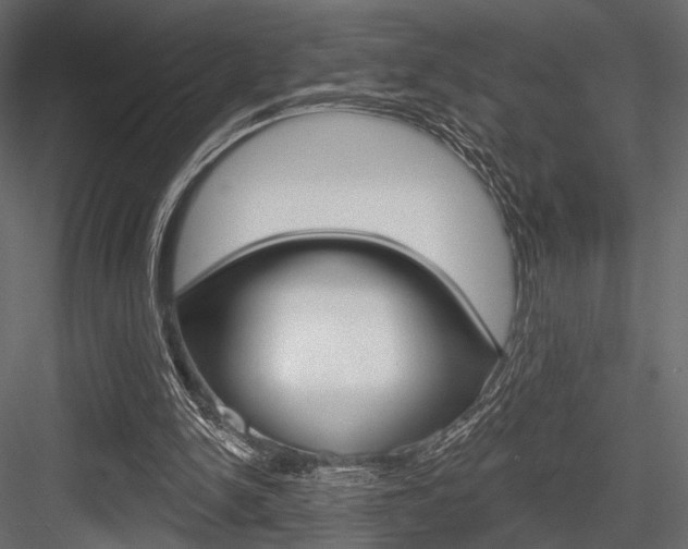X0000084600150200702231045